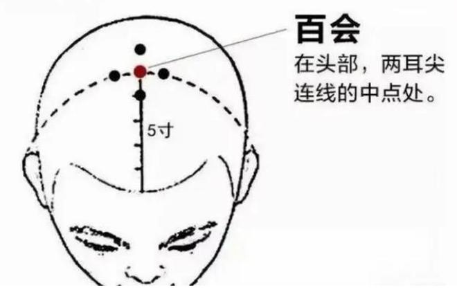 &#108;&#101;&#121;&#117;&#20048;&#40060;